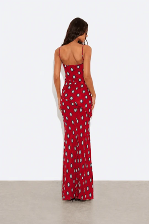 Polka Dot Maxi Dress