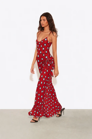 Polka Dot Maxi Dress